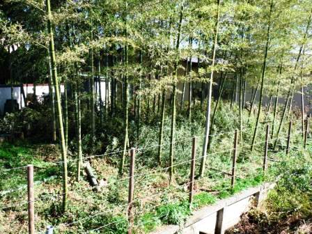 ��̎��Ȃ爤�Ή��@�Ó�̐A�؉��ł��B      �g�тO�X�O�|�X�P�O�O�|�Q�R�S�S