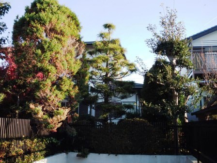 ��̎��Ȃ爤�Ή��@�Ó�̐A�؉��ł��B      �g�тO�X�O�|�X�P�O�O�|�Q�R�S�S