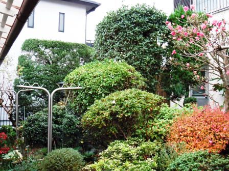 ��̎��Ȃ爤�Ή��@�Ó�̐A�؉��ł��B      �g�тO�X�O�|�X�P�O�O�|�Q�R�S�S