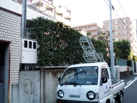 ��̎��Ȃ爤�Ή��@�Ó�̐A�؉��ł��B      �g�тO�X�O�|�X�P�O�O�|�Q�R�S�S