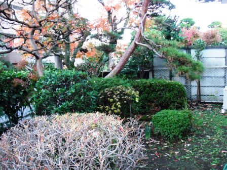 ��̎��Ȃ爤�Ή��@�Ó�̐A�؉��ł��B      �g�тO�X�O�|�X�P�O�O�|�Q�R�S�S