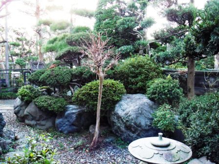 ��̎��Ȃ爤�Ή��@�Ó�̐A�؉��ł��B      �g�тO�X�O�|�X�P�O�O�|�Q�R�S�S