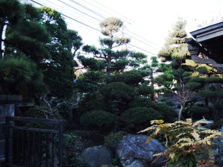 ��̎��Ȃ爤�Ή��@�Ó�̐A�؉��ł��B      �g�тO�X�O�|�X�P�O�O�|�Q�R�S�S