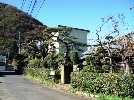 ��̎��Ȃ爤�Ή��@�Ó�̐A�؉��ł��B      �g�тO�X�O�|�X�P�O�O�|�Q�R�S�S