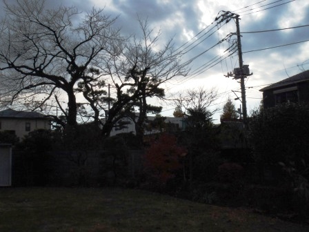 ��̎��Ȃ爤�Ή��@�Ó�̐A�؉��ł��B      �g�тO�X�O�|�X�P�O�O�|�Q�R�S�S