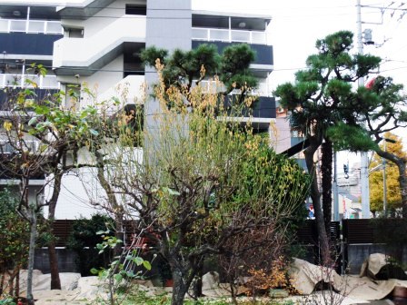 ��̎��Ȃ爤�Ή��@�Ó�̐A�؉��ł��B      �g�тO�X�O�|�X�P�O�O�|�Q�R�S�S