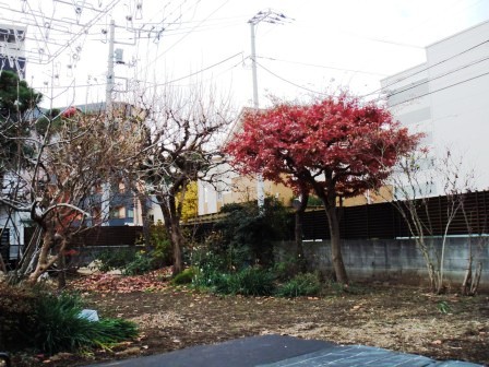 ��̎��Ȃ爤�Ή��@�Ó�̐A�؉��ł��B      �g�тO�X�O�|�X�P�O�O�|�Q�R�S�S