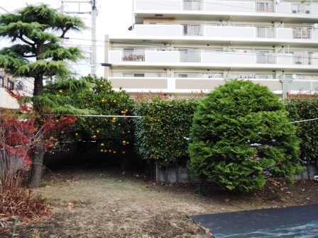 ��̎��Ȃ爤�Ή��@�Ó�̐A�؉��ł��B      �g�тO�X�O�|�X�P�O�O�|�Q�R�S�S