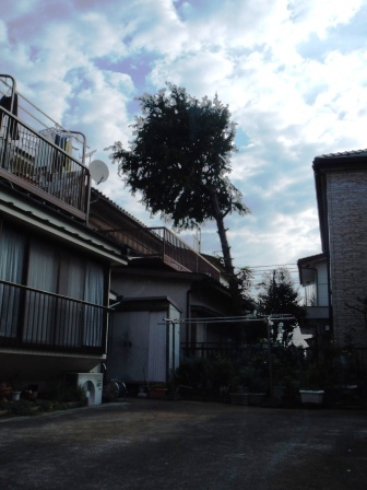 ��̎��Ȃ爤�Ή��@�Ó�̐A�؉��ł��B      �g�тO�X�O�|�X�P�O�O�|�Q�R�S�S