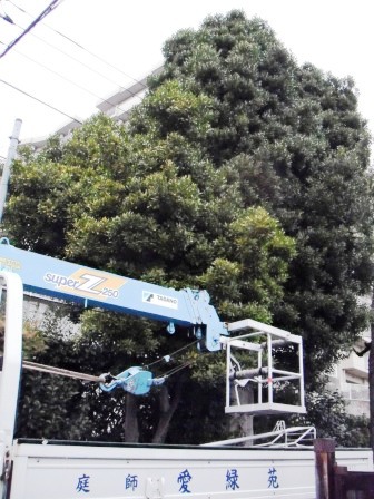 ��̎��Ȃ爤�Ή��@�Ó�̐A�؉��ł��B      �g�тO�X�O�|�X�P�O�O�|�Q�R�S�S