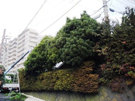 ��̎��Ȃ爤�Ή��@�Ó�̐A�؉��ł��B      �g�тO�X�O�|�X�P�O�O�|�Q�R�S�S