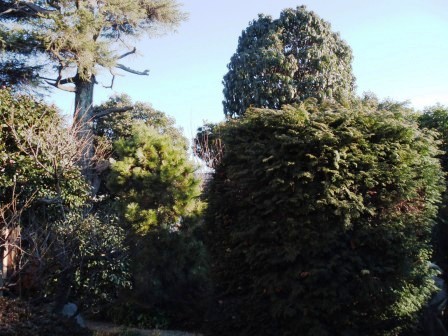 ��̎��Ȃ爤�Ή��@�Ó�̐A�؉��ł��B      �g�тO�X�O�|�X�P�O�O�|�Q�R�S�S