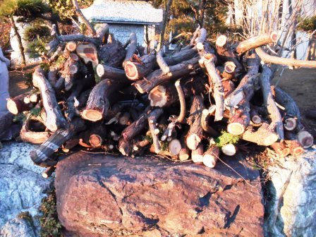 ��̎��Ȃ爤�Ή��@�Ó�̐A�؉��ł��B      �g�тO�X�O�|�X�P�O�O�|�Q�R�S�S