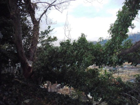 ��̎��Ȃ爤�Ή��@�Ó�̐A�؉��ł��B      �g�тO�X�O�|�X�P�O�O�|�Q�R�S�S