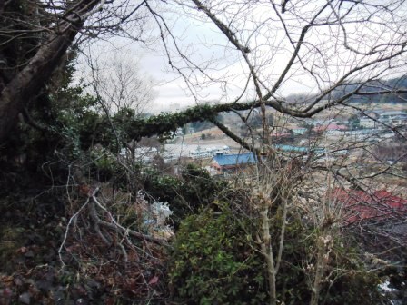 ��̎��Ȃ爤�Ή��@�Ó�̐A�؉��ł��B      �g�тO�X�O�|�X�P�O�O�|�Q�R�S�S