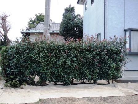 ��̎��Ȃ爤�Ή��@�Ó�̐A�؉��ł��B      �g�тO�X�O�|�X�P�O�O�|�Q�R�S�S