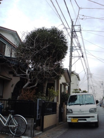 ��̎��Ȃ爤�Ή��@�Ó�̐A�؉��ł��B      �g�тO�X�O�|�X�P�O�O�|�Q�R�S�S