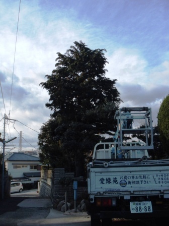 ��̎��Ȃ爤�Ή��@�Ó�̐A�؉��ł��B      �g�тO�X�O�|�X�P�O�O�|�Q�R�S�S