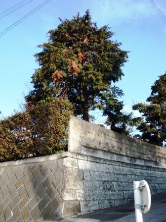 ��̎��Ȃ爤�Ή��@�Ó�̐A�؉��ł��B      �g�тO�X�O�|�X�P�O�O�|�Q�R�S�S