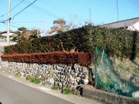 ��̎��Ȃ爤�Ή��@�Ó�̐A�؉��ł��B      �g�тO�X�O�|�X�P�O�O�|�Q�R�S�S