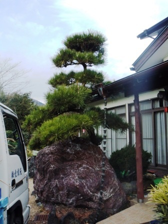 ��̎��Ȃ爤�Ή��@�Ó�̐A�؉��ł��B      �g�тO�X�O�|�X�P�O�O�|�Q�R�S�S