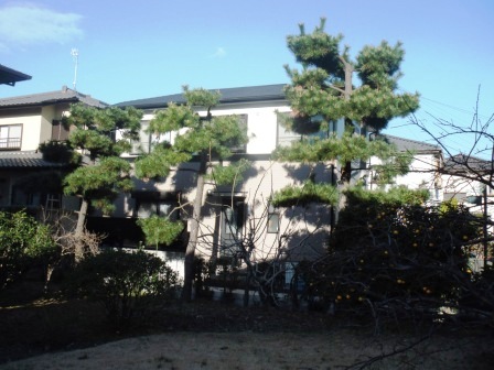 ��̎��Ȃ爤�Ή��@�Ó�̐A�؉��ł��B      �g�тO�X�O�|�X�P�O�O�|�Q�R�S�S