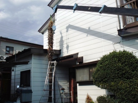 ��̎��Ȃ爤�Ή��@�Ó�̐A�؉��ł��B      �g�тO�X�O�|�X�P�O�O�|�Q�R�S�S