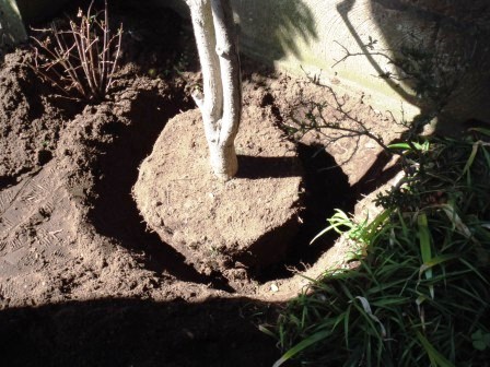 ��̎��Ȃ爤�Ή��@�Ó�̐A�؉��ł��B      �g�тO�X�O�|�X�P�O�O�|�Q�R�S�S