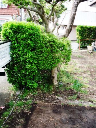 ��̎��Ȃ爤�Ή��@�Ó�̐A�؉��ł��B      �g�тO�X�O�|�X�P�O�O�|�Q�R�S�S