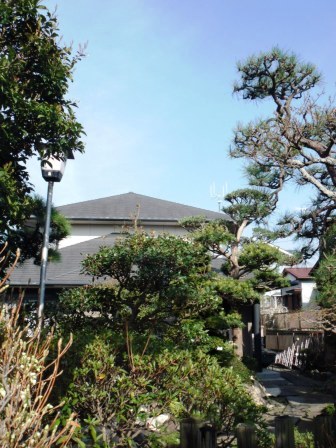 ��̎��Ȃ爤�Ή��@�Ó�̐A�؉��ł��B      �g�тO�X�O�|�X�P�O�O�|�Q�R�S�S