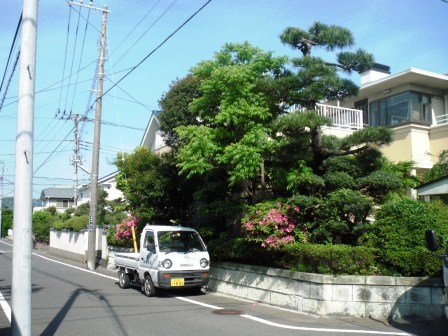 ��̎��Ȃ爤�Ή��@�Ó�̐A�؉��ł��B      �g�тO�X�O�|�X�P�O�O�|�Q�R�S�S