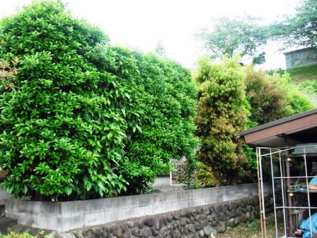 ��̎��Ȃ爤�Ή��@�Ó�̐A�؉��ł��B      �g�тO�X�O�|�X�P�O�O�|�Q�R�S�S