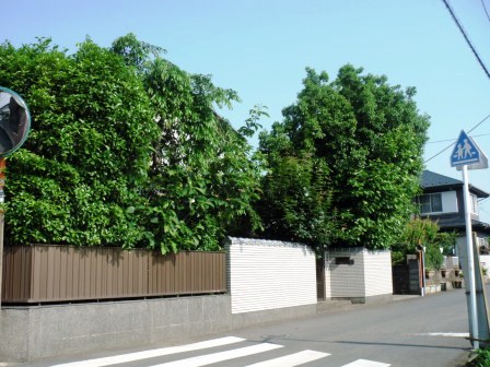 ��̎��Ȃ爤�Ή��@�Ó�̐A�؉��ł��B      �g�тO�X�O�|�X�P�O�O�|�Q�R�S�S