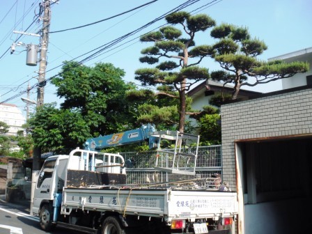 ��̎��Ȃ爤�Ή��@�Ó�̐A�؉��ł��B      �g�тO�X�O�|�X�P�O�O�|�Q�R�S�S