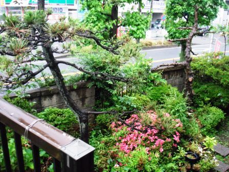 ��̎��Ȃ爤�Ή��@�Ó�̐A�؉��ł��B      �g�тO�X�O�|�X�P�O�O�|�Q�R�S�S