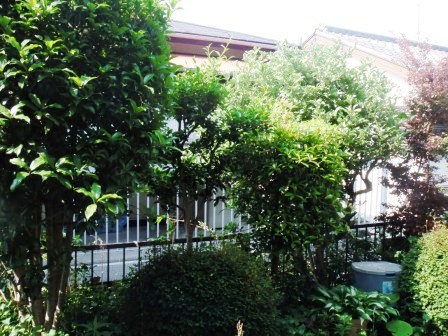 ��̎��Ȃ爤�Ή��@�Ó�̐A�؉��ł��B      �g�тO�X�O�|�X�P�O�O�|�Q�R�S�S