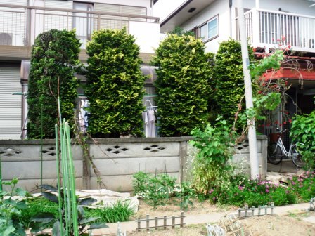 ��̎��Ȃ爤�Ή��@�Ó�̐A�؉��ł��B      �g�тO�X�O�|�X�P�O�O�|�Q�R�S�S