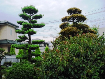 ��̎��Ȃ爤�Ή��@�Ó�̐A�؉��ł��B      �g�тO�X�O�|�X�P�O�O�|�Q�R�S�S