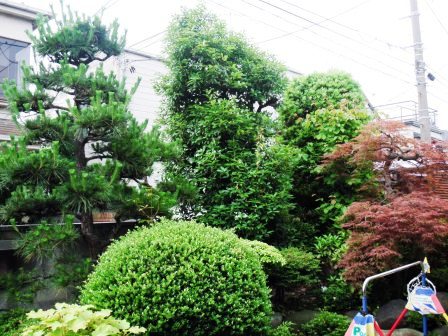 ��̎��Ȃ爤�Ή��@�Ó�̐A�؉��ł��B      �g�тO�X�O�|�X�P�O�O�|�Q�R�S�S