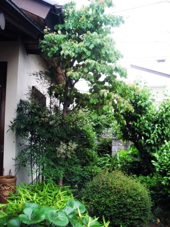 ��̎��Ȃ爤�Ή��@�Ó�̐A�؉��ł��B      �g�тO�X�O�|�X�P�O�O�|�Q�R�S�S