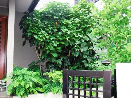 ��̎��Ȃ爤�Ή��@�Ó�̐A�؉��ł��B      �g�тO�X�O�|�X�P�O�O�|�Q�R�S�S