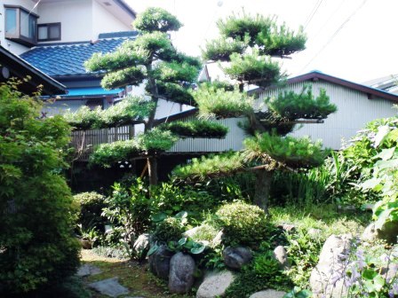 ��̎��Ȃ爤�Ή��@�Ó�̐A�؉��ł��B      �g�тO�X�O�|�X�P�O�O�|�Q�R�S�S