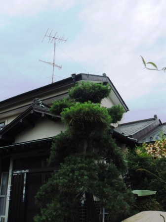 ��̎��Ȃ爤�Ή��@�Ó�̐A�؉��ł��B      �g�тO�X�O�|�X�P�O�O�|�Q�R�S�S