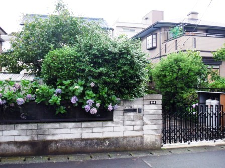 ��̎��Ȃ爤�Ή��@�Ó�̐A�؉��ł��B      �g�тO�X�O�|�X�P�O�O�|�Q�R�S�S