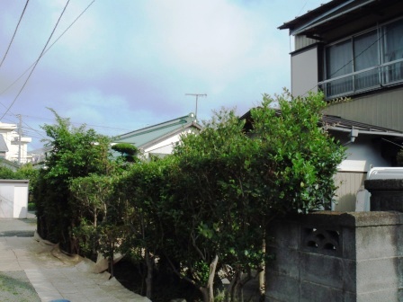 ��̎��Ȃ爤�Ή��@�Ó�̐A�؉��ł��B      �g�тO�X�O�|�X�P�O�O�|�Q�R�S�S