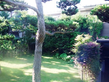 ��̎��Ȃ爤�Ή��@�Ó�̐A�؉��ł��B      �g�тO�X�O�|�X�P�O�O�|�Q�R�S�S