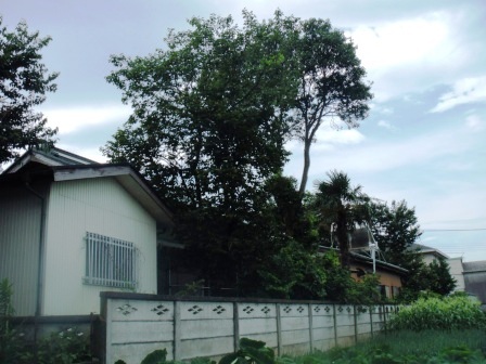 ��̎��Ȃ爤�Ή��@�Ó�̐A�؉��ł��B      �g�тO�X�O�|�X�P�O�O�|�Q�R�S�S