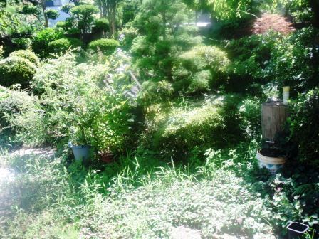 ��̎��Ȃ爤�Ή��@�Ó�̐A�؉��ł��B      �g�тO�X�O�|�X�P�O�O�|�Q�R�S�S