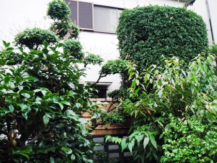 ��̎��Ȃ爤�Ή��@�Ó�̐A�؉��ł��B      �g�тO�X�O�|�X�P�O�O�|�Q�R�S�S