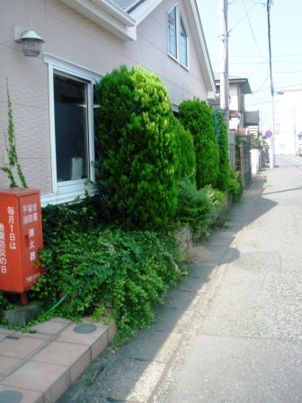 ��̎��Ȃ爤�Ή��@�Ó�̐A�؉��ł��B      �g�тO�X�O�|�X�P�O�O�|�Q�R�S�S